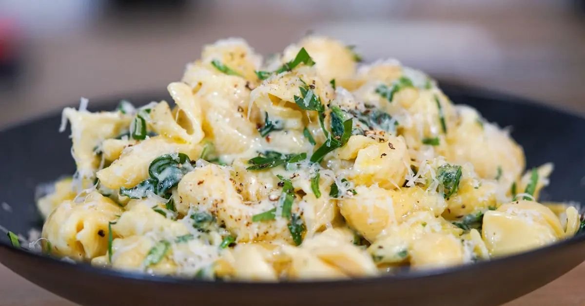 creamy pasta recipes